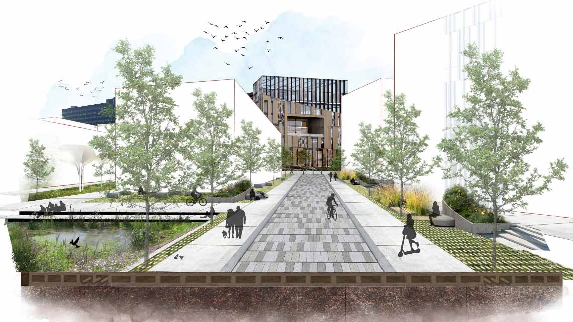 Daphne Steel Architect